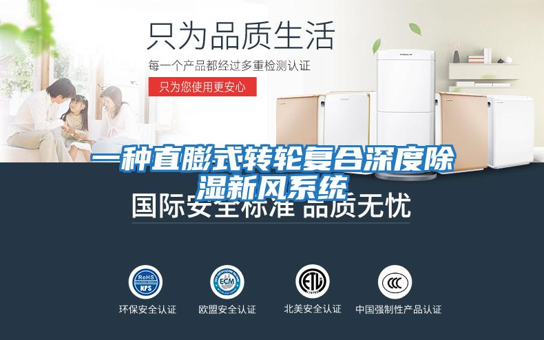 一種直膨式轉輪復合深度除濕新風系統