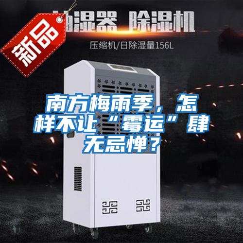 南方梅雨季,怎樣不讓“霉運”肆無忌憚?