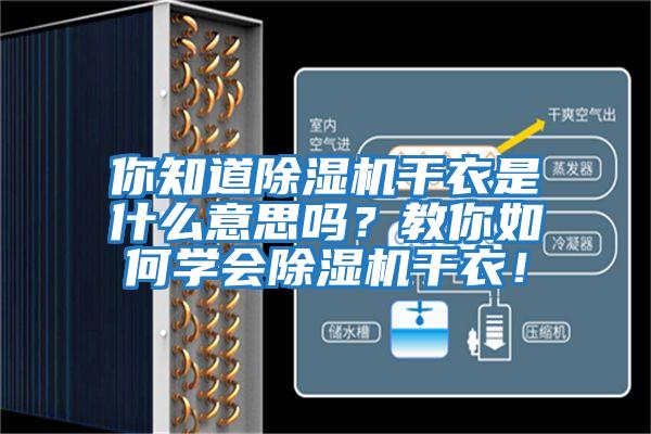 你知道除濕機干衣是什么意思嗎？教你如何學會除濕機干衣！