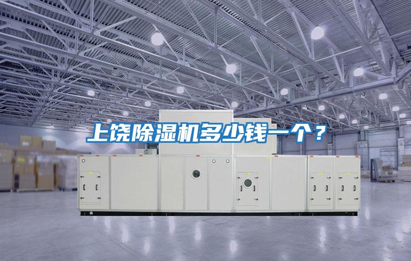 上饒除濕機多少錢一個？