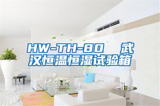 HW-TH-80 武漢恒溫恒濕試驗(yàn)箱