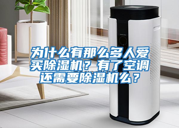 為什么有那么多人愛買除濕機？有了空調還需要除濕機么？