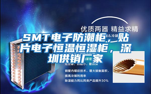 SMT電子防潮柜，貼片電子恒溫恒濕柜，深圳供銷廠家