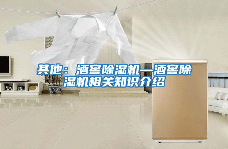 其他：酒窖除濕機(jī)—酒窖除濕機(jī)相關(guān)知識介紹