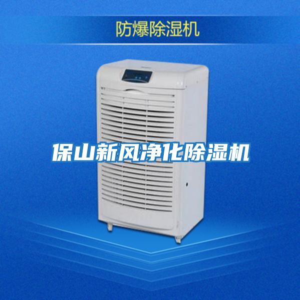 保山新風凈化除濕機