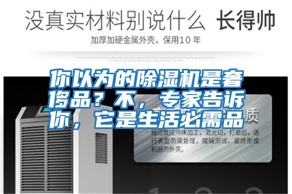 你以為的除濕機是奢侈品？不，專家告訴你，它是生活必需品