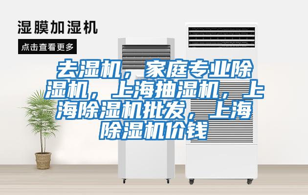 去濕機,家庭專業(yè)除濕機,上海抽濕機,上海除濕機批發(fā),上海除濕機價錢