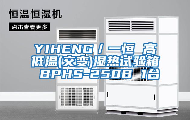 YIHENG/一恒 高低溫(交變)濕熱試驗箱 BPHS-250B 1臺