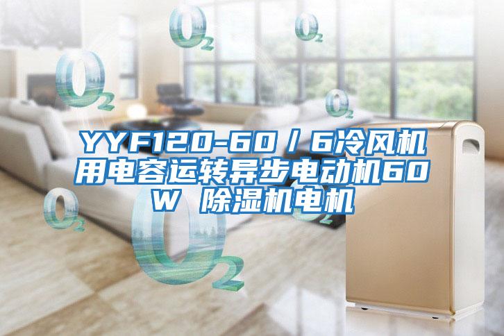 YYF120-60/6冷風(fēng)機(jī)用電容運(yùn)轉(zhuǎn)異步電動(dòng)機(jī)60W 除濕機(jī)電機(jī)