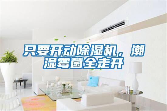 只要開動除濕機，潮濕霉菌全走開