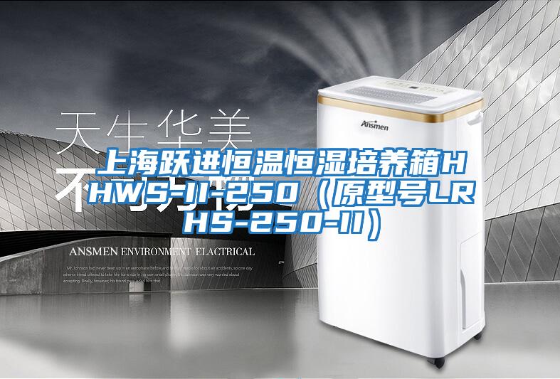 上海躍進恒溫恒濕培養箱HHWS-II-250(原型號LRHS-250-II)