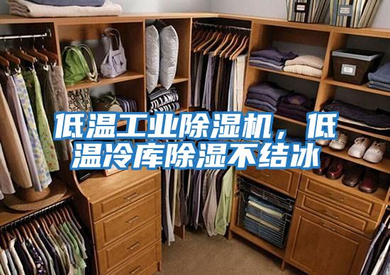 低溫工業除濕機，低溫冷庫除濕不結冰