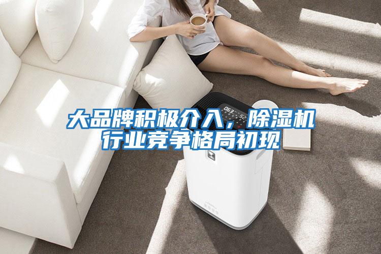 大品牌積極介入,除濕機(jī)行業(yè)競爭格局初現(xiàn)