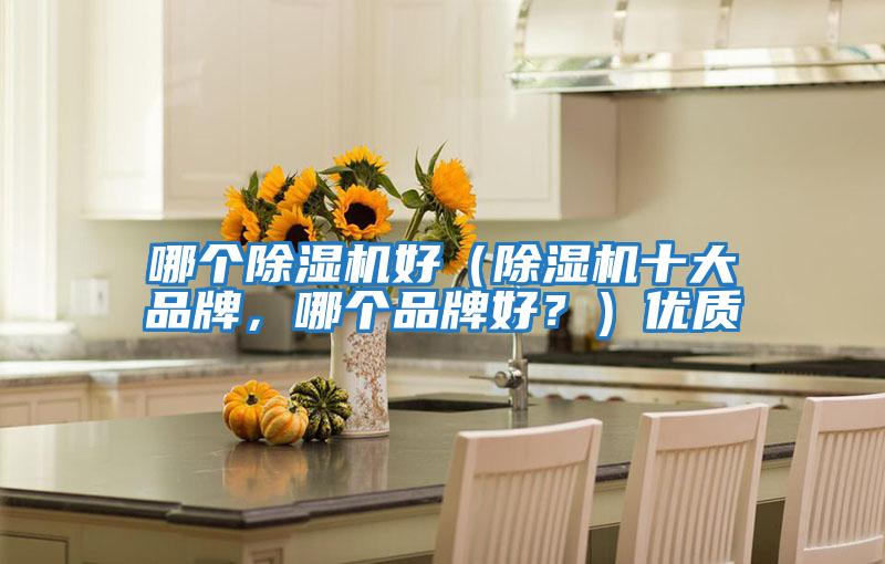 哪個除濕機(jī)好(除濕機(jī)十大品牌,哪個品牌好?)優(yōu)質(zhì)