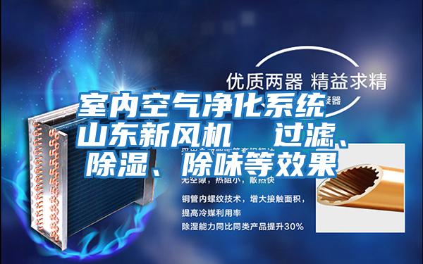 室內空氣凈化系統 山東新風機 過濾、除濕、除味等效果