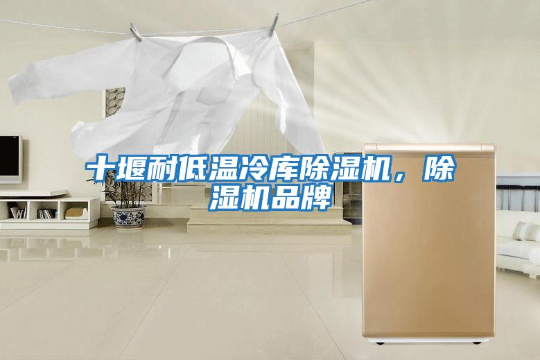 十堰耐低溫冷庫除濕機(jī)，除濕機(jī)品牌