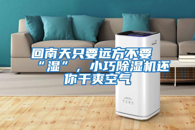 回南天只要遠方不要“濕”，小巧除濕機還你干爽空氣