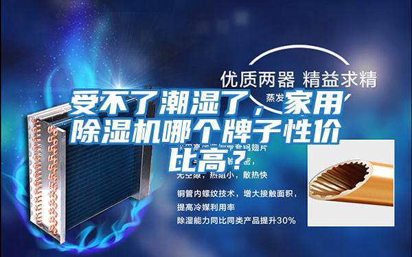 受不了潮濕了，家用除濕機(jī)哪個(gè)牌子性價(jià)比高？