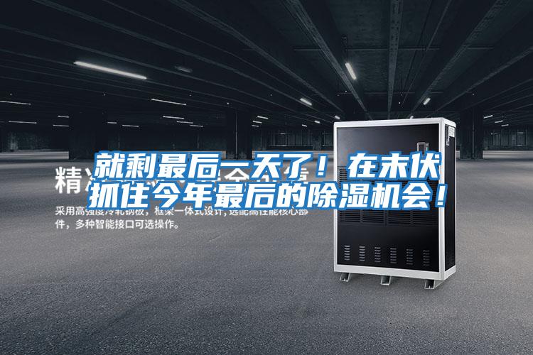 就剩最后一天了！在末伏抓住今年最后的除濕機會！