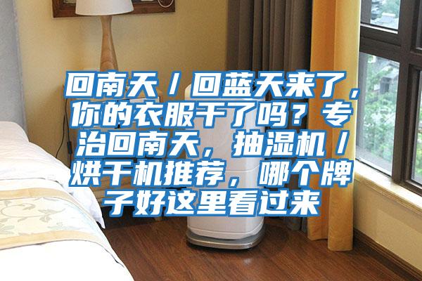 回南天/回藍天來了,你的衣服干了嗎?專治回南天,抽濕機/烘干機推薦,哪個牌子好這里看過來
