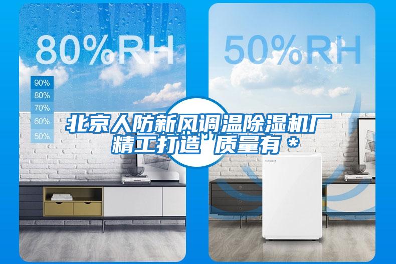 北京人防新風(fēng)調(diào)溫除濕機(jī)廠 精工打造 質(zhì)量有*
