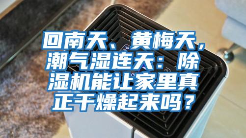 回南天、黃梅天，潮氣濕連天：除濕機能讓家里真正干燥起來嗎？