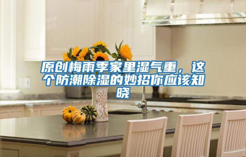 原創梅雨季家里濕氣重，這個防潮除濕的妙招你應該知曉