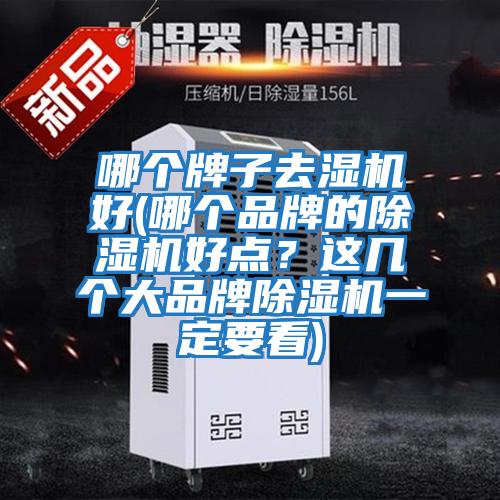 哪個牌子去濕機好(哪個品牌的除濕機好點？這幾個大品牌除濕機一定要看)