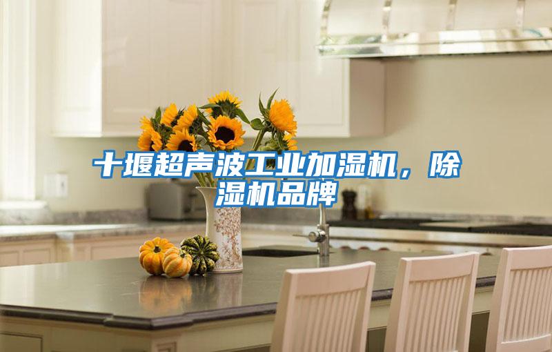 十堰超聲波工業加濕機,除濕機品牌