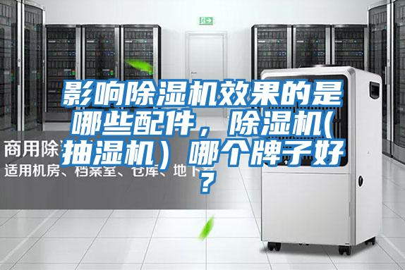 影響除濕機效果的是哪些配件,除濕機(抽濕機)哪個牌子好?