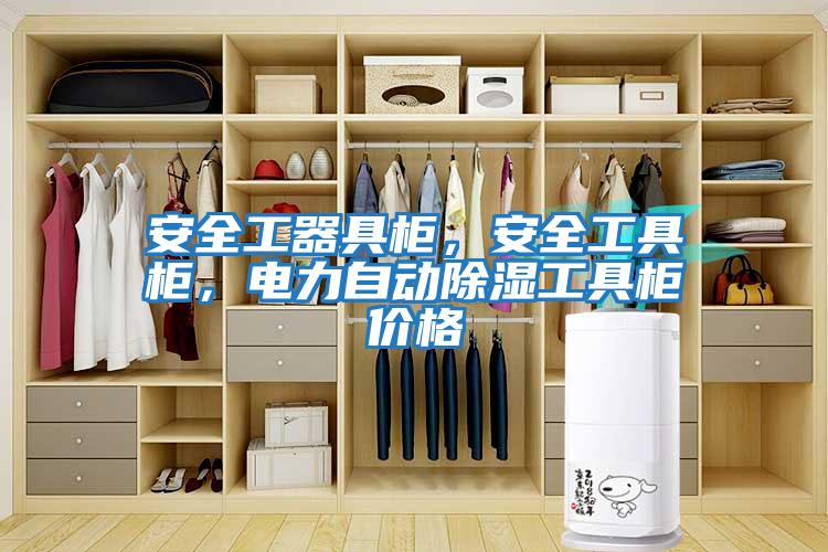 安全工器具柜，安全工具柜，電力自動(dòng)除濕工具柜價(jià)格