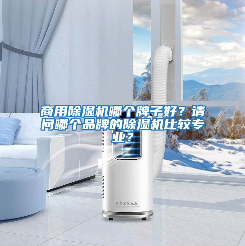 商用除濕機(jī)哪個(gè)牌子好？請(qǐng)問哪個(gè)品牌的除濕機(jī)比較專業(yè)？