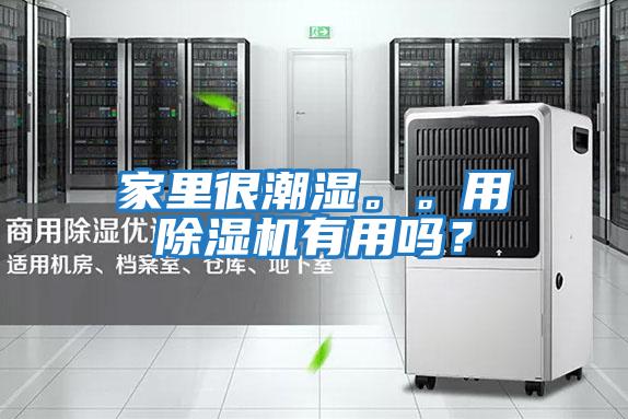 家里很潮濕。。用除濕機(jī)有用嗎？
