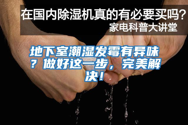地下室潮濕發(fā)霉有異味？做好這一步，完美解決！