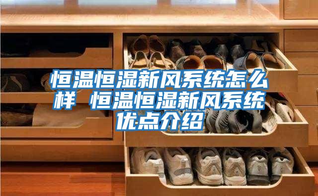 恒溫恒濕新風系統怎么樣 恒溫恒濕新風系統優點介紹