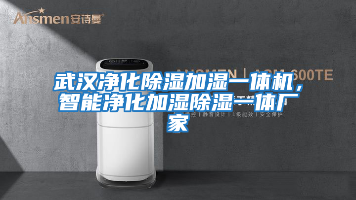 武漢凈化除濕加濕一體機，智能凈化加濕除濕一體廠家
