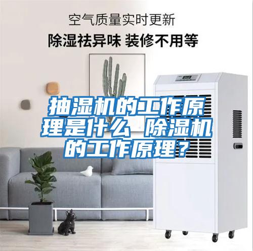 抽濕機的工作原理是什么 除濕機的工作原理？