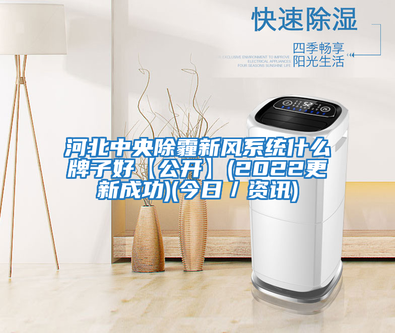 河北中央除霾新風系統(tǒng)什么牌子好【公開】(2022更新成功)(今日/資訊)