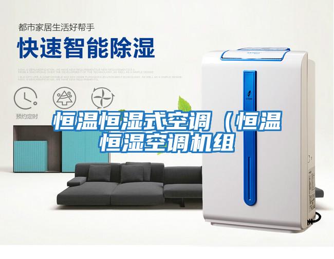 恒溫恒濕式空調(恒溫恒濕空調機組