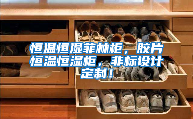 恒溫恒濕菲林柜，膠片恒溫恒濕柜，非標(biāo)設(shè)計(jì)定制！