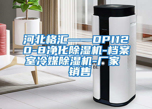 河北格匯——DPI120-8凈化除濕機-檔案室冷媒除濕機-廠家 銷售