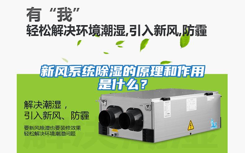 新風系統除濕的原理和作用是什么?