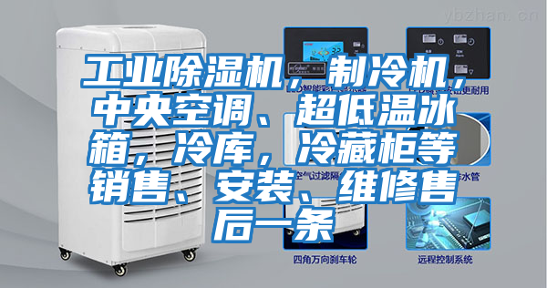 工業(yè)除濕機(jī)，制冷機(jī)，中央空調(diào)、超低溫冰箱，冷庫，冷藏柜等銷售、安裝、維修售后一條