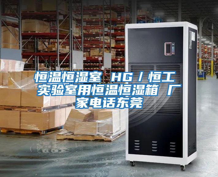 恒溫恒濕室 HG/恒工 實驗室用恒溫恒濕箱 廠家電話東莞