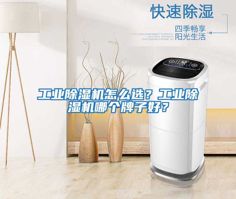 工業(yè)除濕機(jī)怎么選？工業(yè)除濕機(jī)哪個(gè)牌子好？