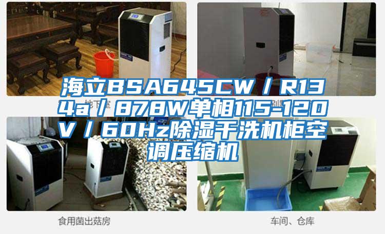 海立BSA645CW／R134a／878W單相115-120V／60Hz除濕干洗機柜空調壓縮機