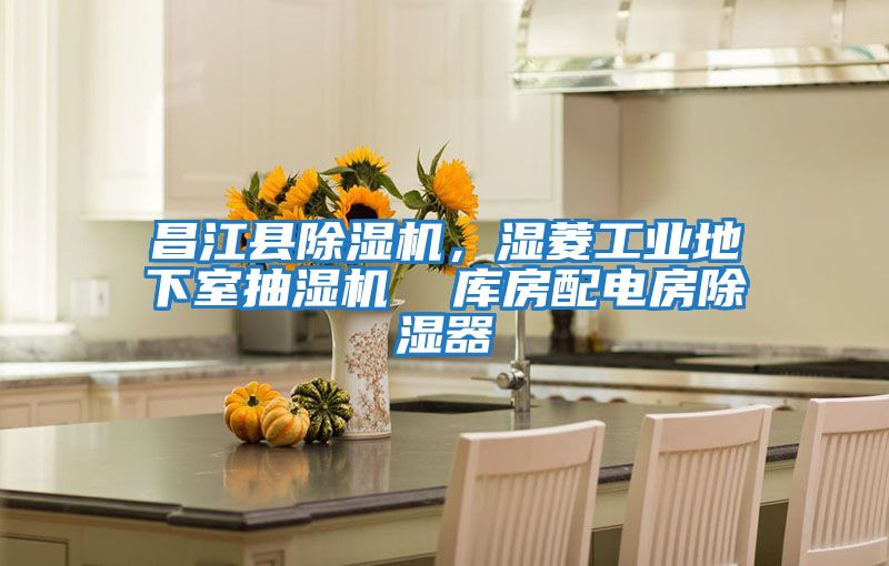 昌江縣除濕機,濕菱工業地下室抽濕機 庫房配電房除濕器