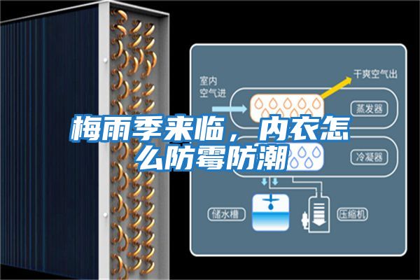 梅雨季來臨,內(nèi)衣怎么防霉防潮