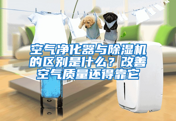 空氣凈化器與除濕機的區別是什么？改善空氣質量還得靠它