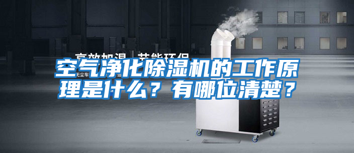 空氣凈化除濕機(jī)的工作原理是什么？有哪位清楚？